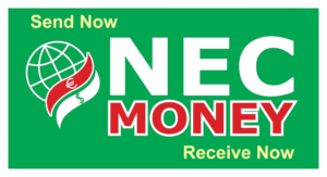 NEC_Money_logo-removebg-preview